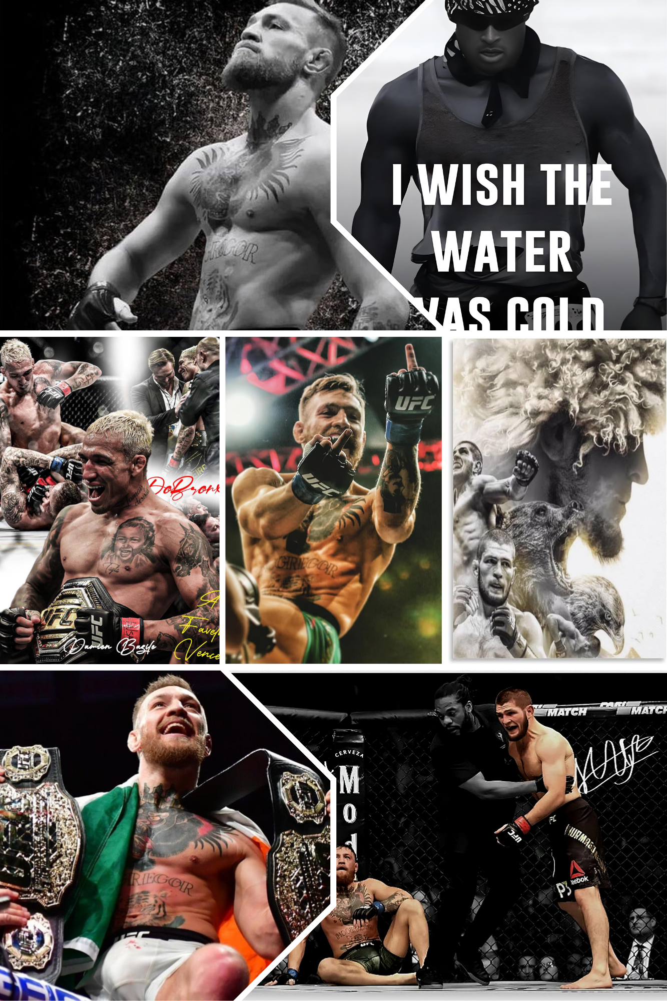MMA COLLECTION