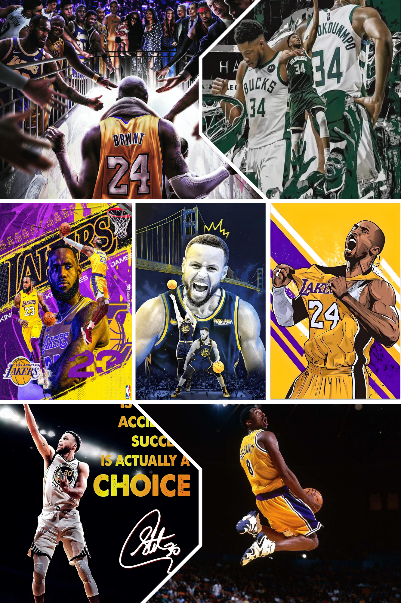 THE BASKETBALL COLLECTION