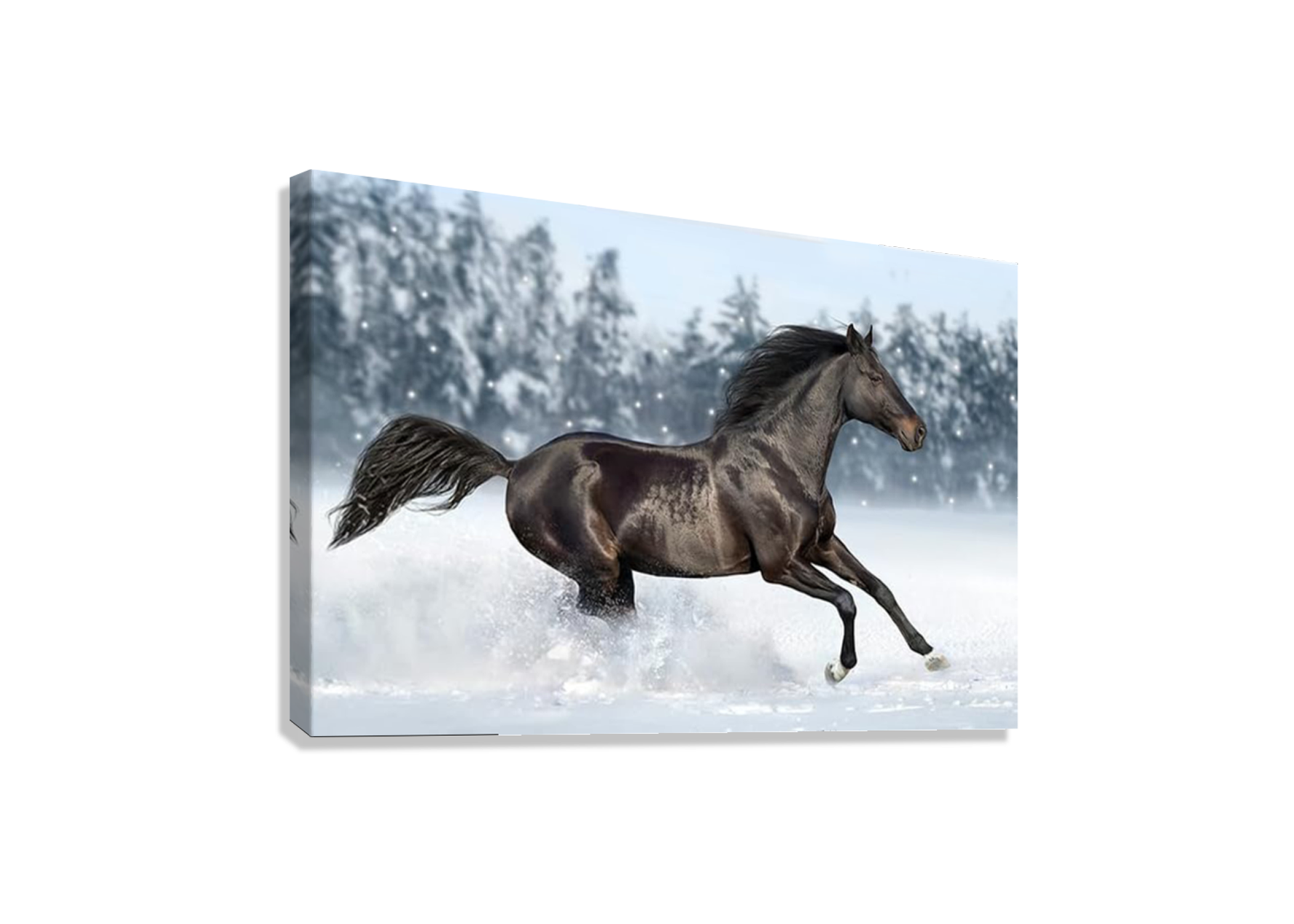 MAJESTIC HORSE CANVAS POSTER