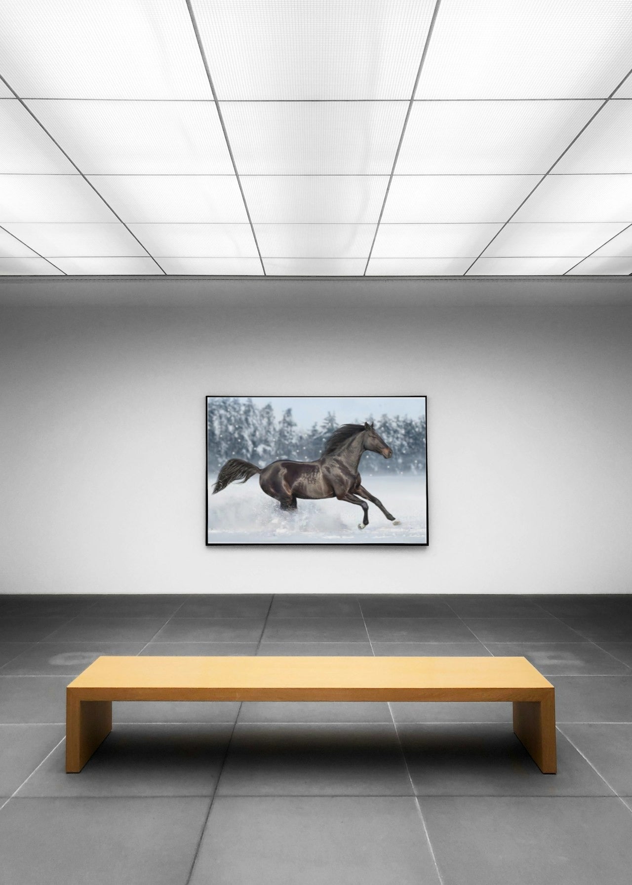 MAJESTIC HORSE CANVAS POSTER