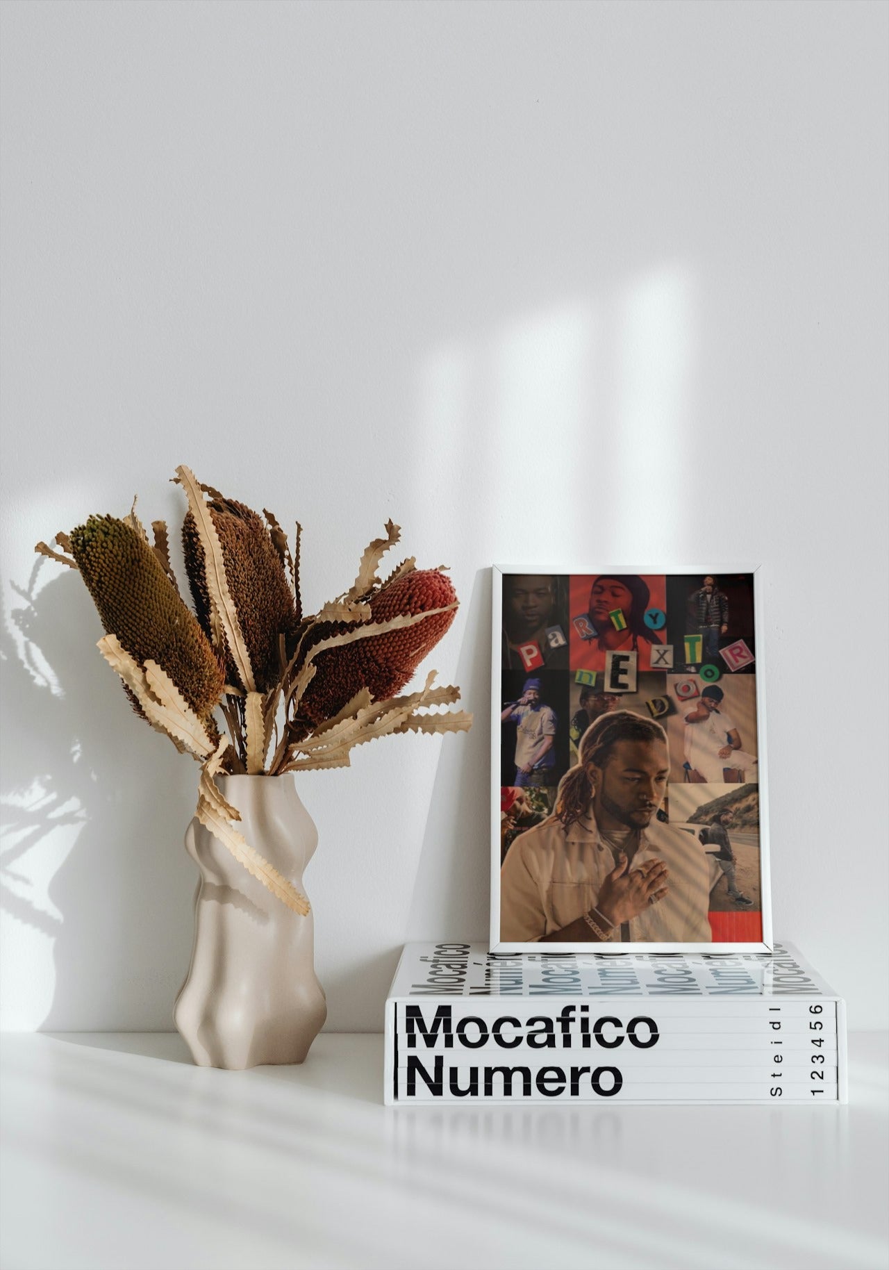 PARTY NEXT DOOR CANVAS POSTER