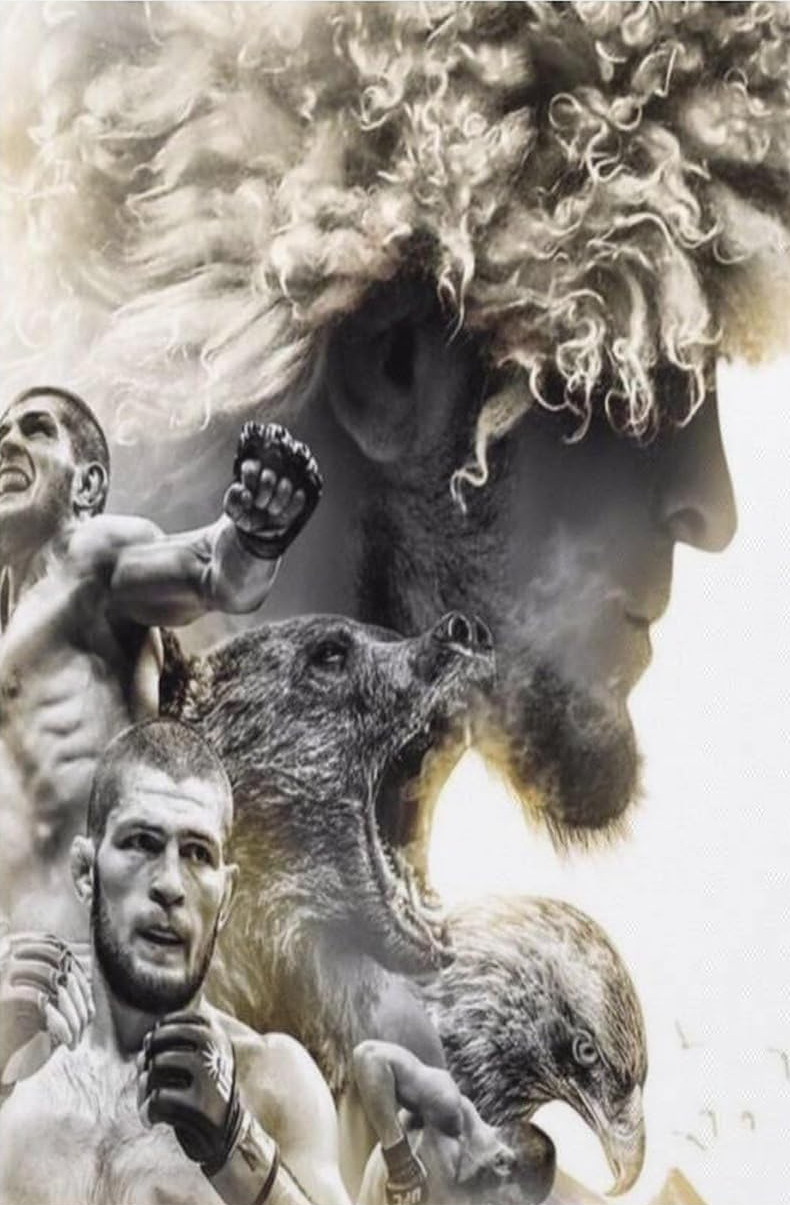 KHABIB NURMAGOMEDOV CANVAS POSTER