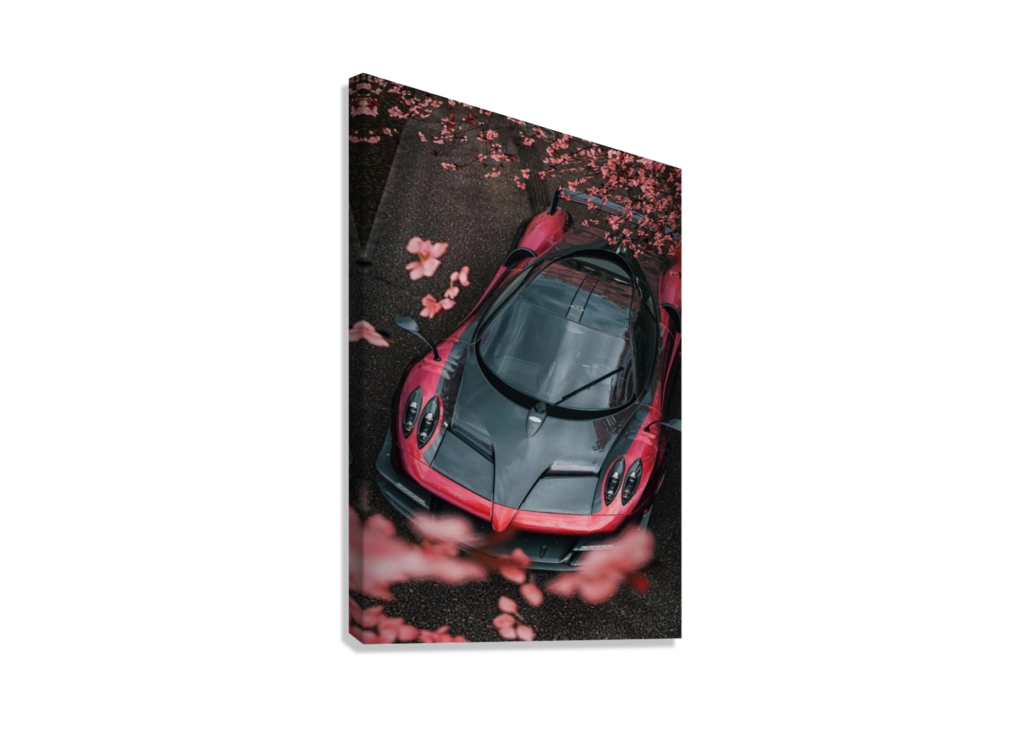 PAGANI HUAYRA CANVAS POSTER