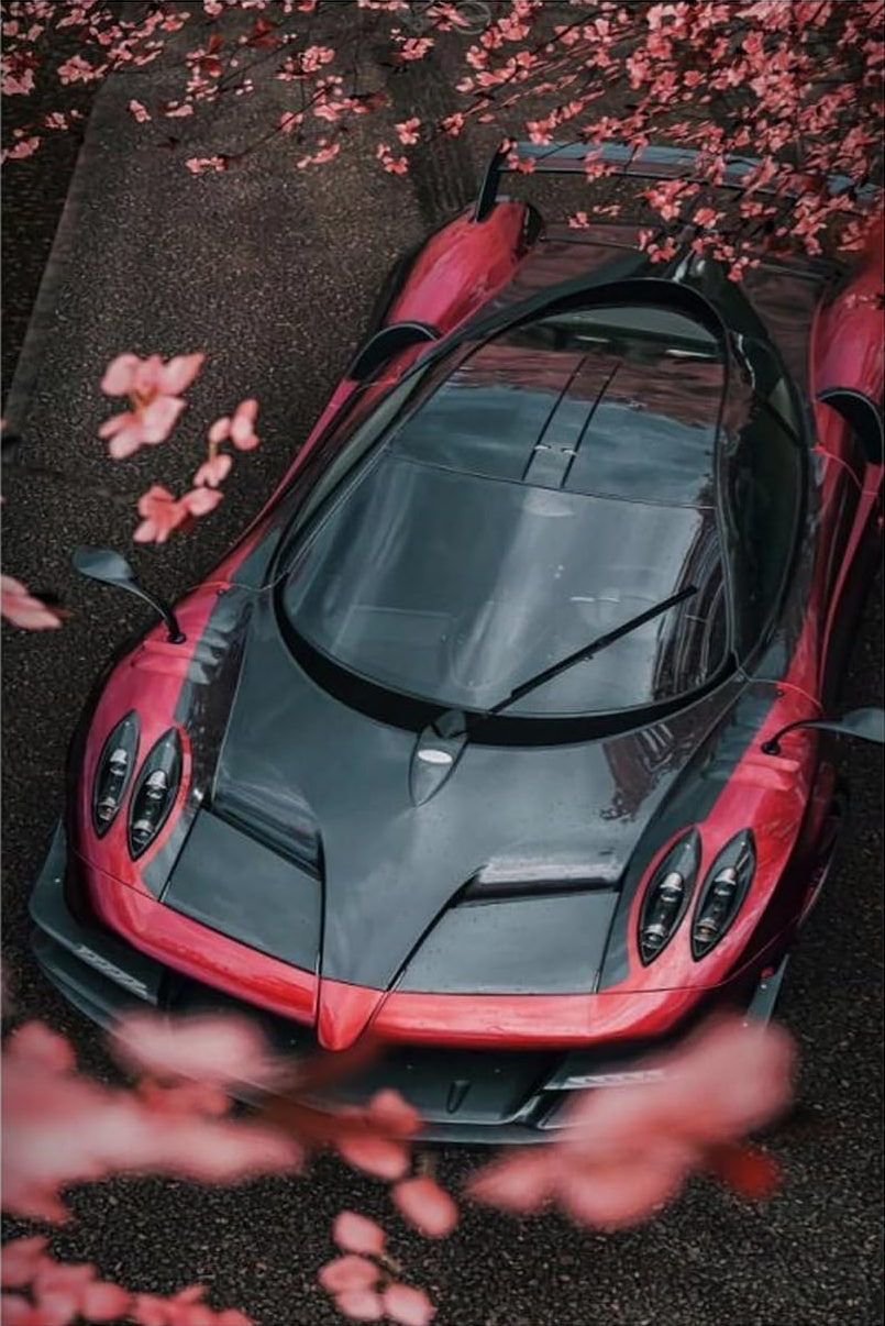 PAGANI HUAYRA CANVAS POSTER