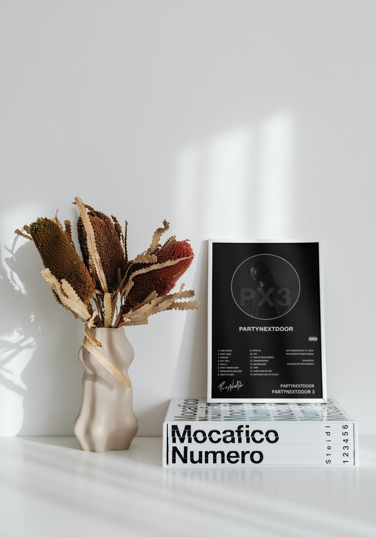 PARTY NEXT DOOR 3 CANVAS POSTER