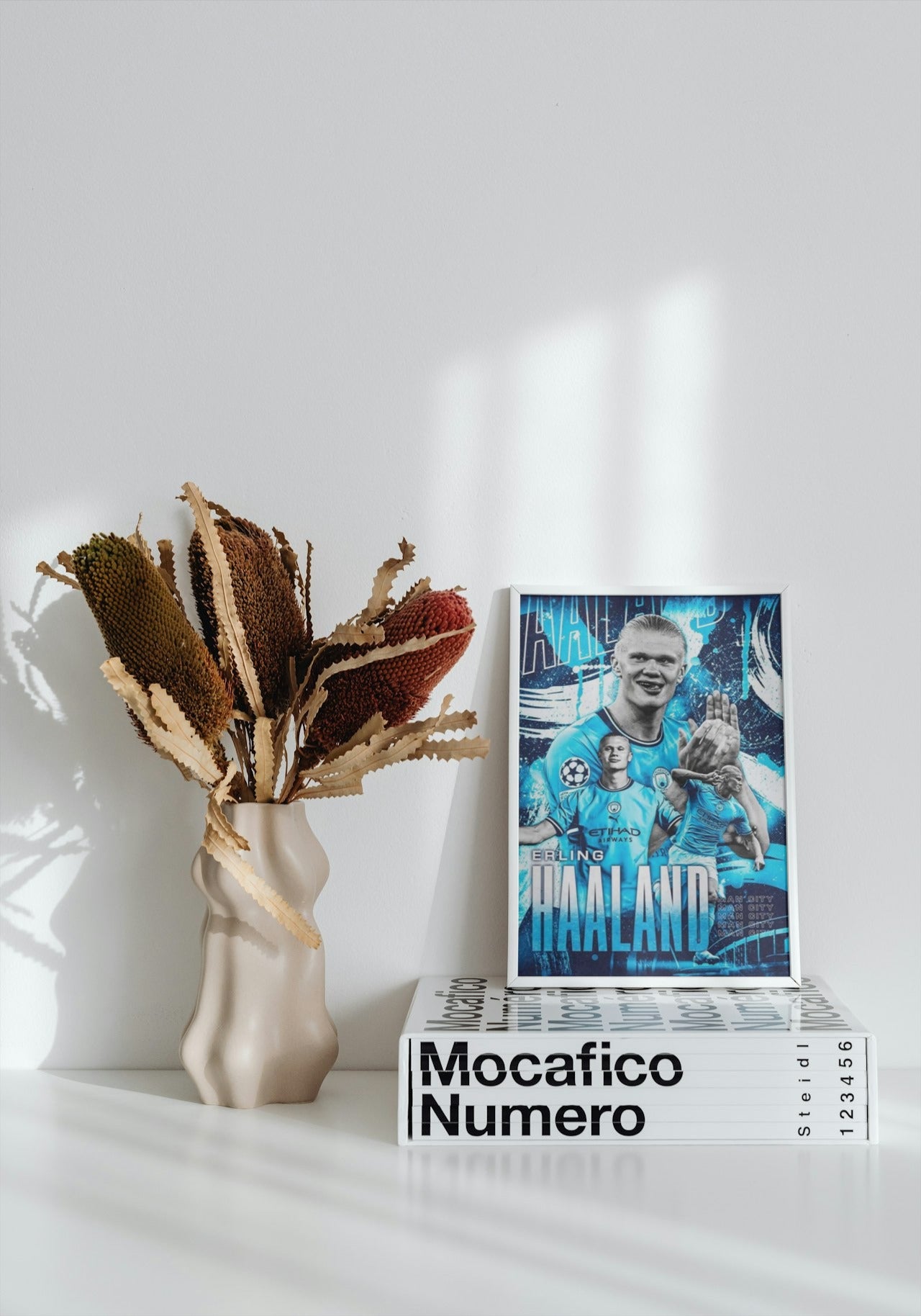 HAALAND CANVAS POSTER