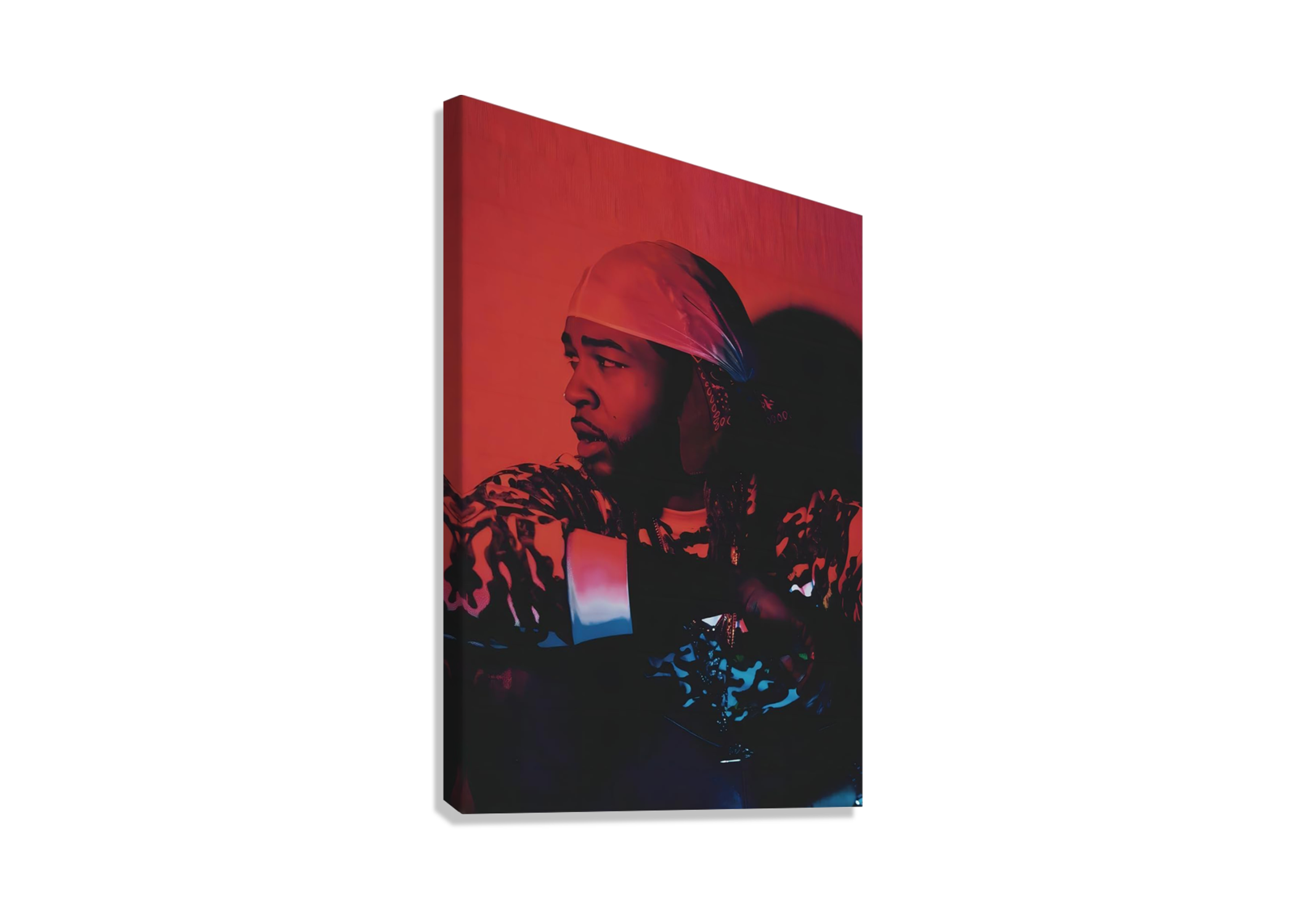 PARTY NEXT DOOR CANVAS POSTER