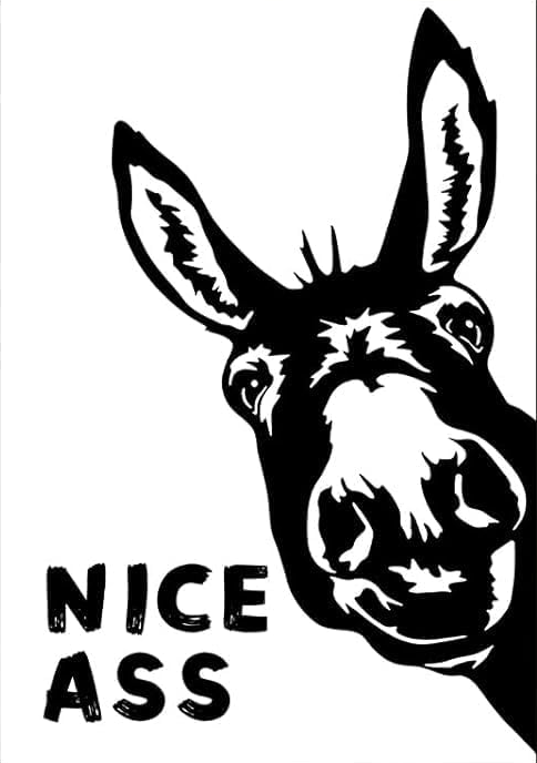 NICE ASS CANVAS POSTER