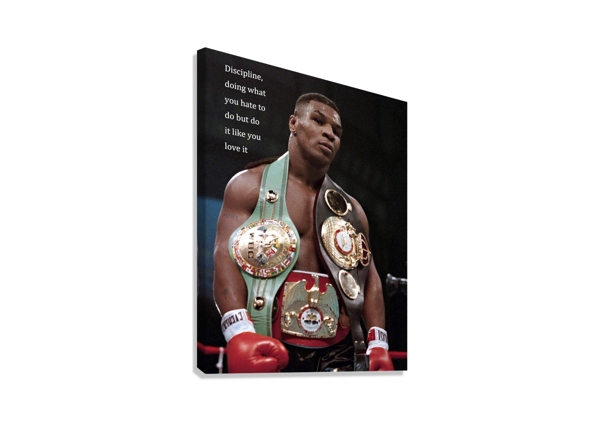 MIKE TYSON MOTIVATIONAL CANVAS POSTER