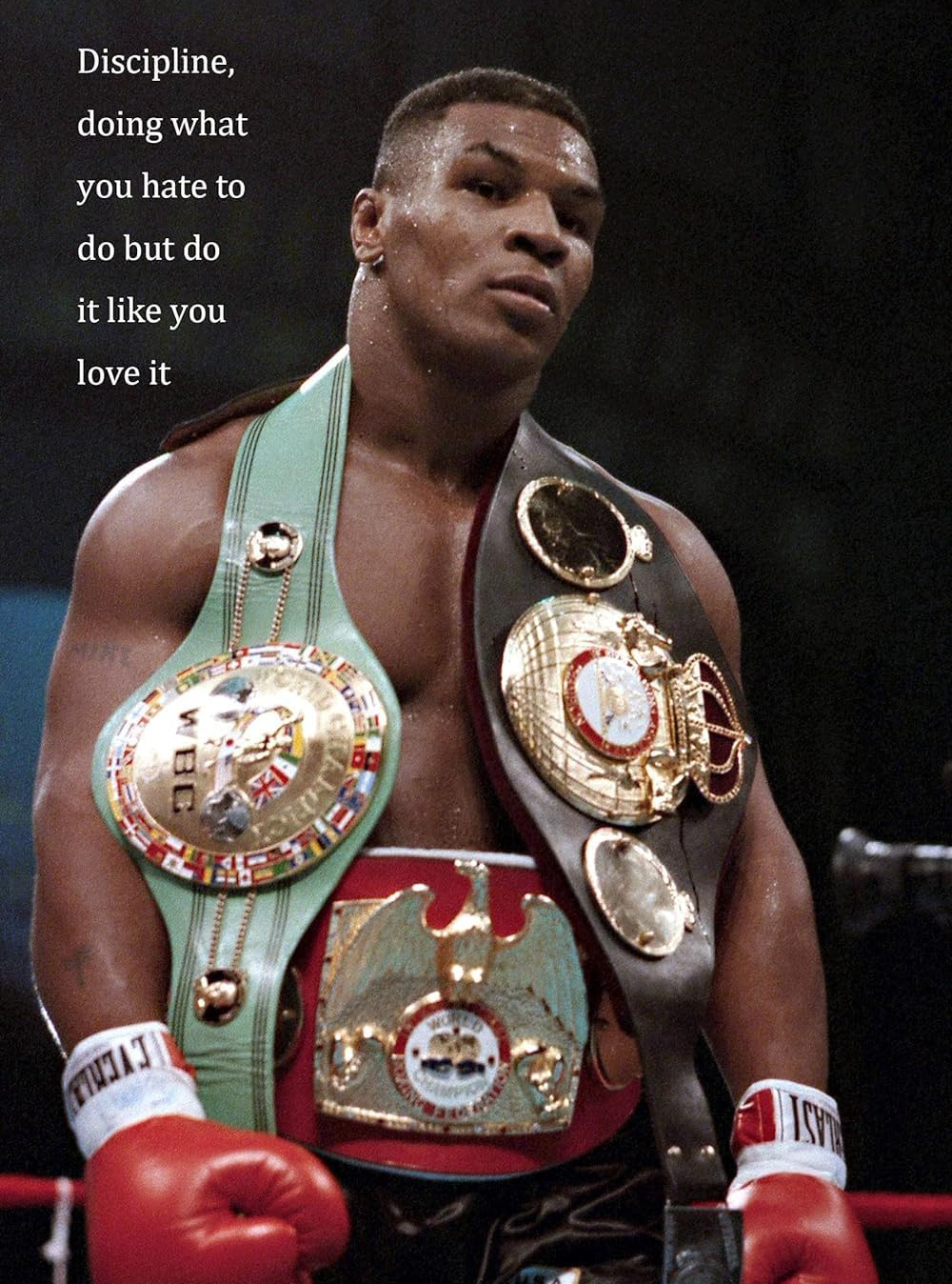 MIKE TYSON MOTIVATIONAL CANVAS POSTER
