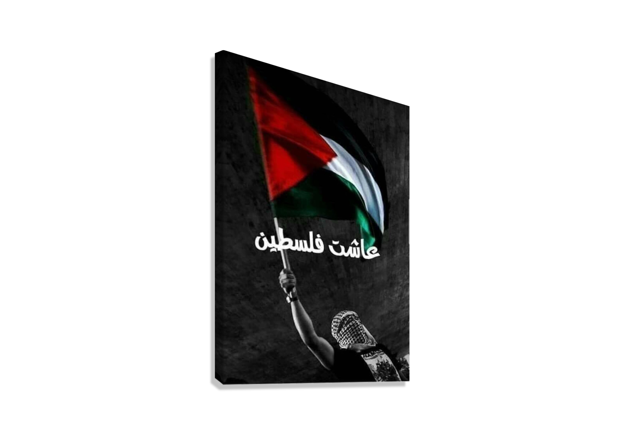 FREE PALESTINE CANVAS POSTER