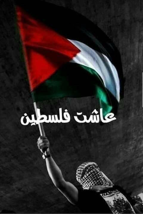 FREE PALESTINE CANVAS POSTER