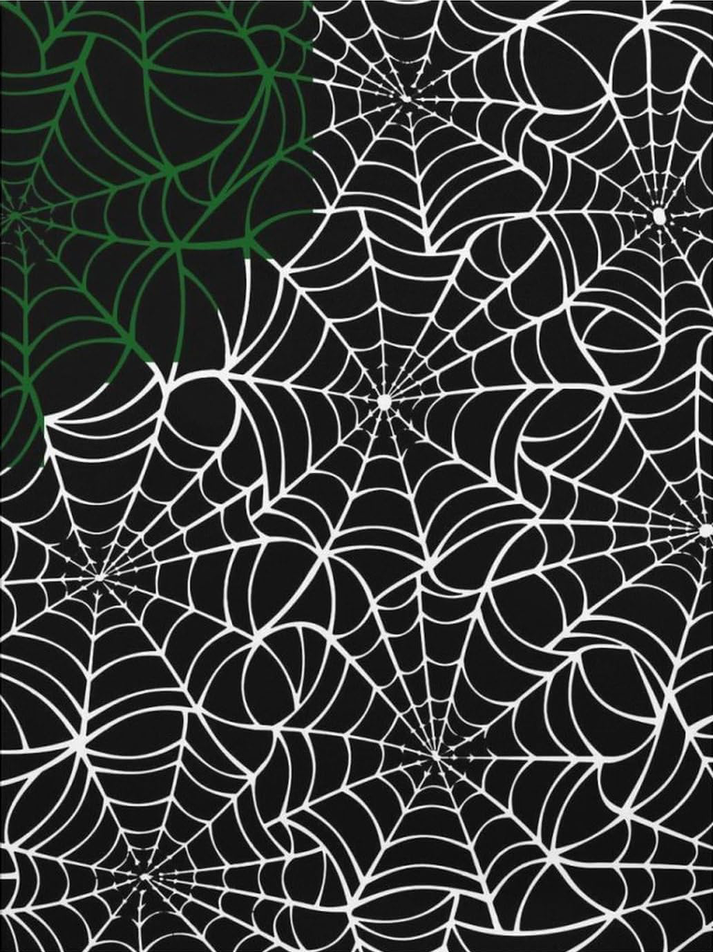 COOL SPIDERWEB CANVAS POSTER