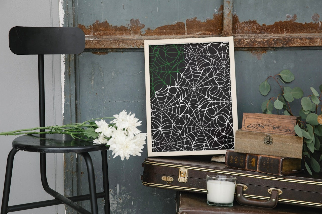COOL SPIDERWEB CANVAS POSTER