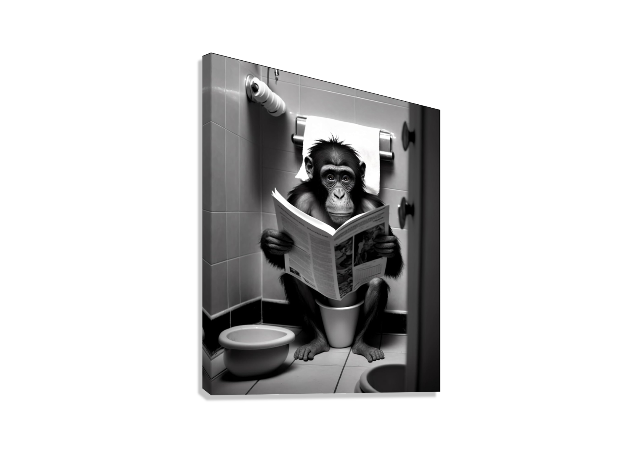 FUNNY AND CUTE MONKEY IN BATHROOM