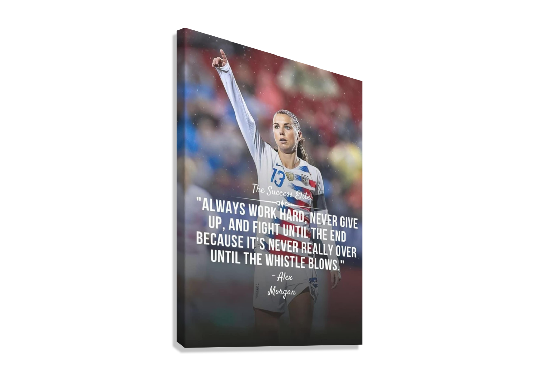 ALEX MORGAN CANVAS POSTER