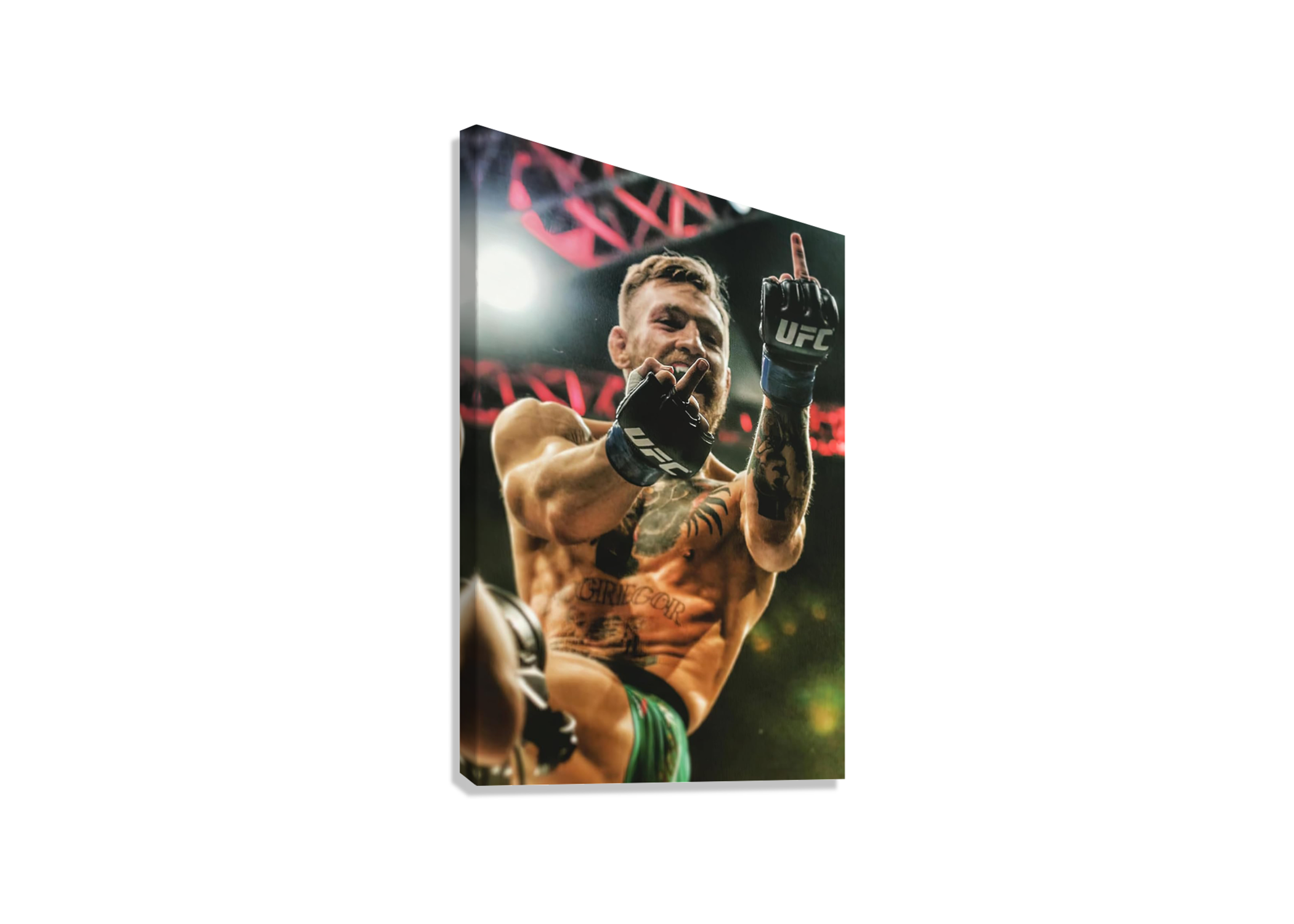 UFC CONOR MCGREGOR CANVAS POSTER