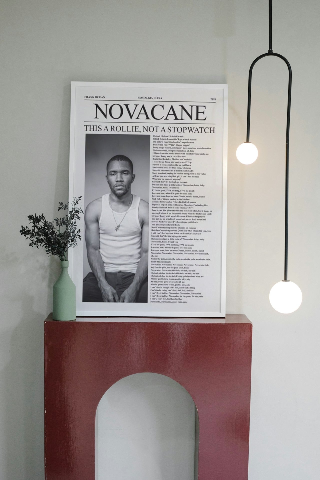 FRANK OCEAN "NOVACANE" CANVAS POSTER