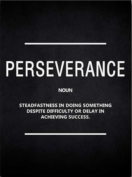PERSEVERANCE MOTIVATIONAL CANVAS POSTER