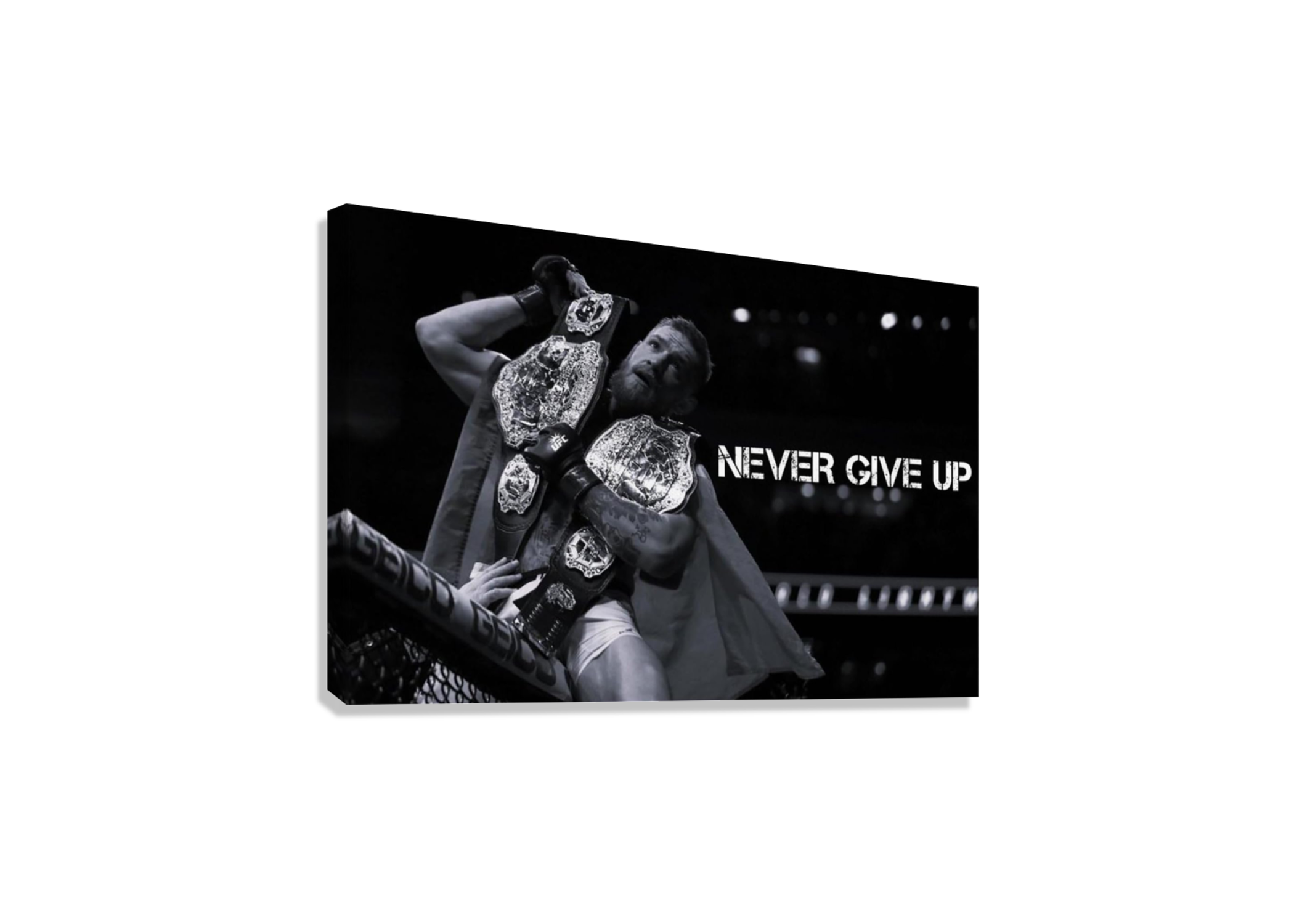 CONOR MCGREGOR UFC MOTIVATIONAL CANVAS POSTER