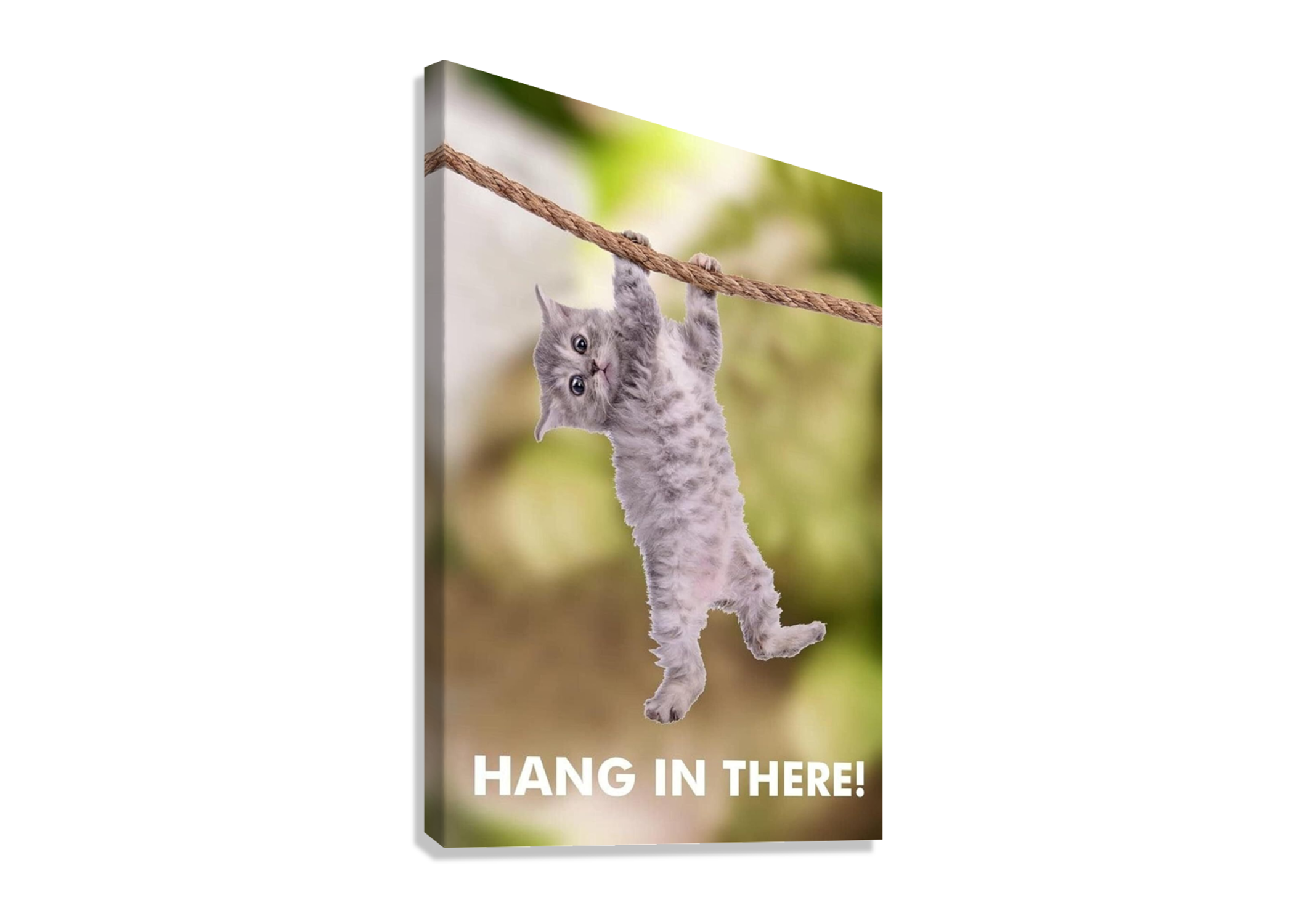 CUTE FUNNY CAT CANVAS POSTER " HANG IN THERE"