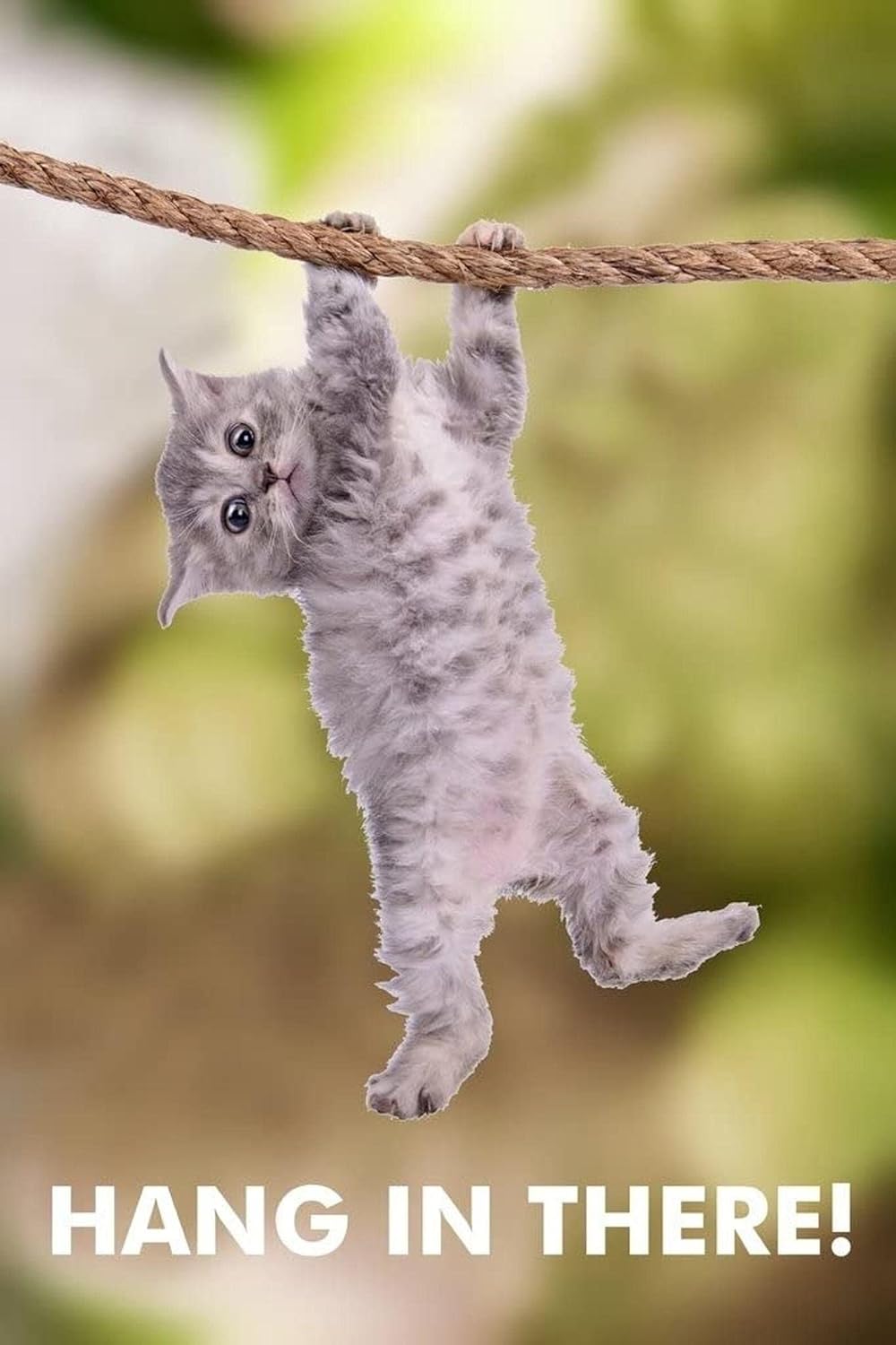 CUTE FUNNY CAT CANVAS POSTER " HANG IN THERE"