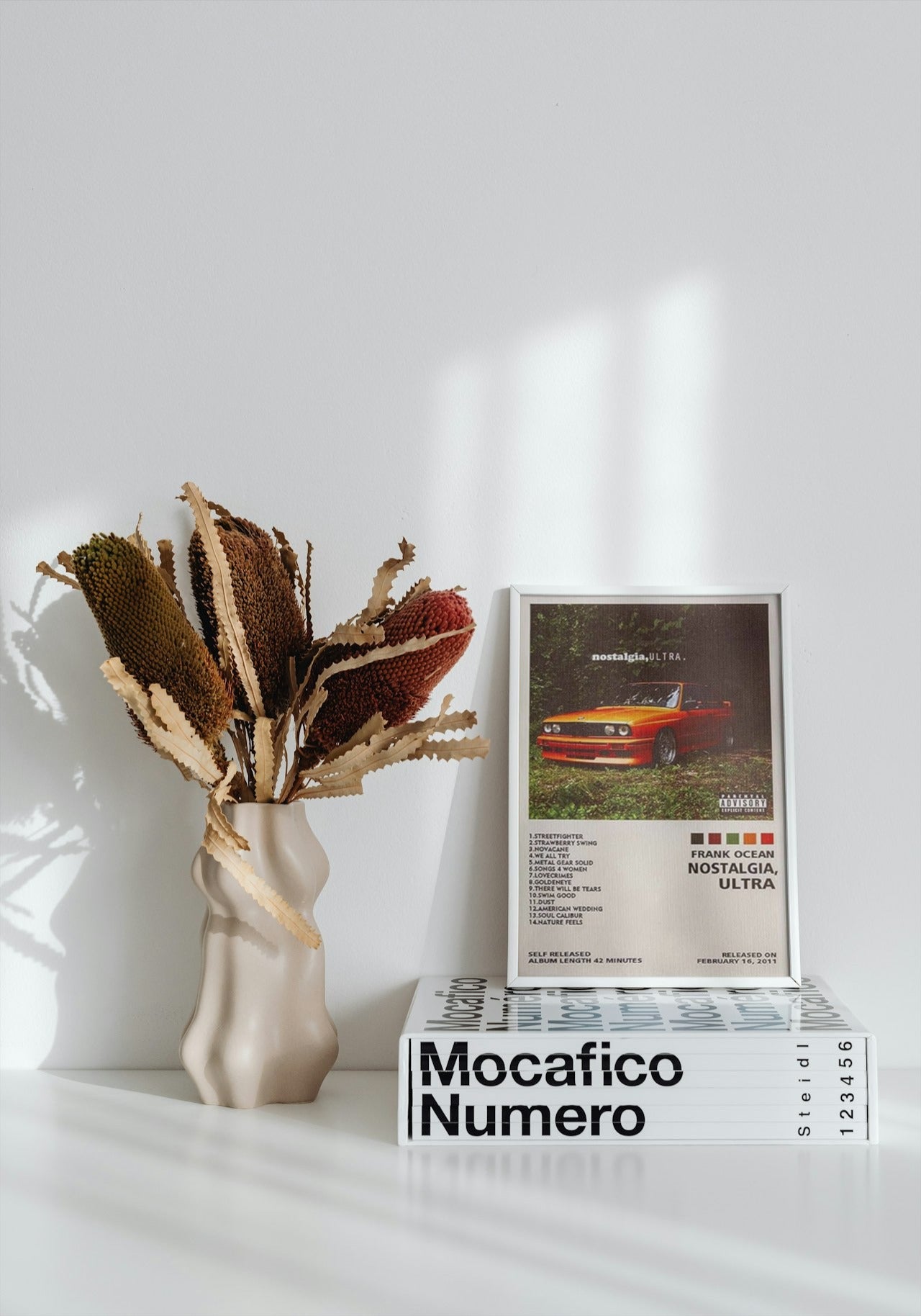 FRANK OCEAN NOSTALGIA ULTRA CANVAS POSTER