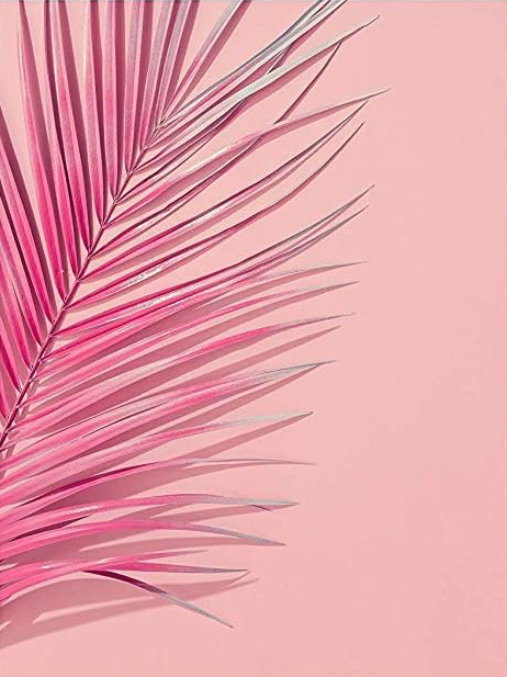 AESTHETIC CUTE PINK PALM TREE CANVAS POSTER