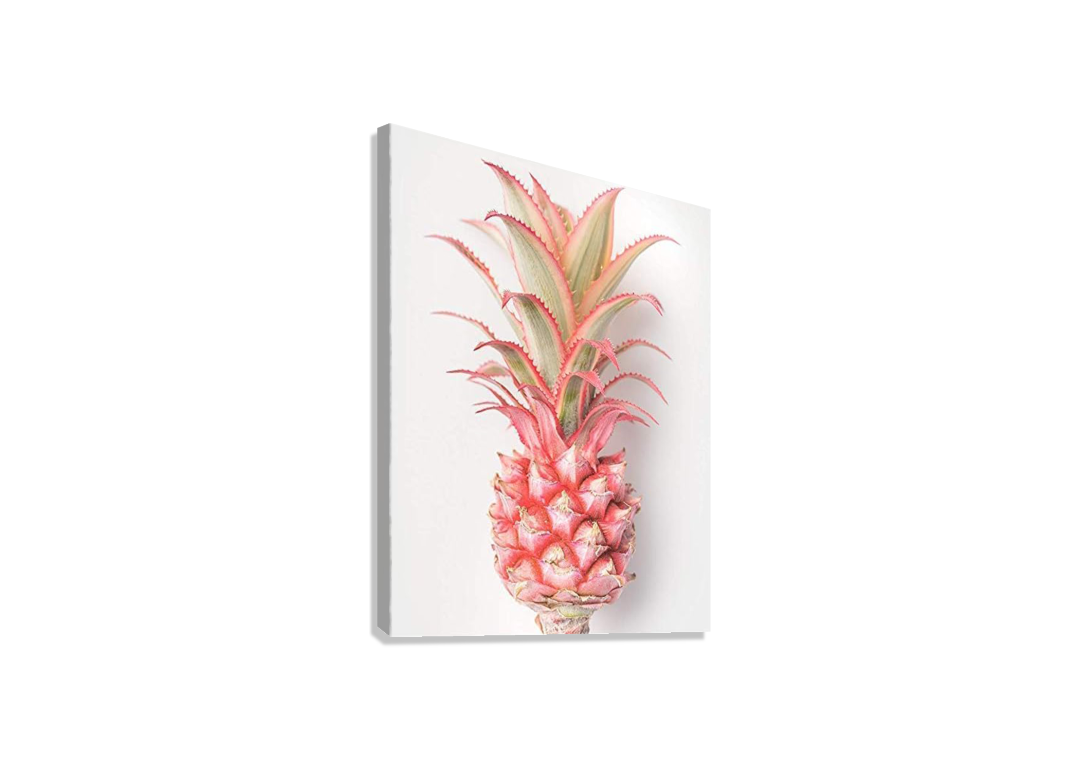 AESTHETIC PINK PINEAPPLE CANVAS POSTER