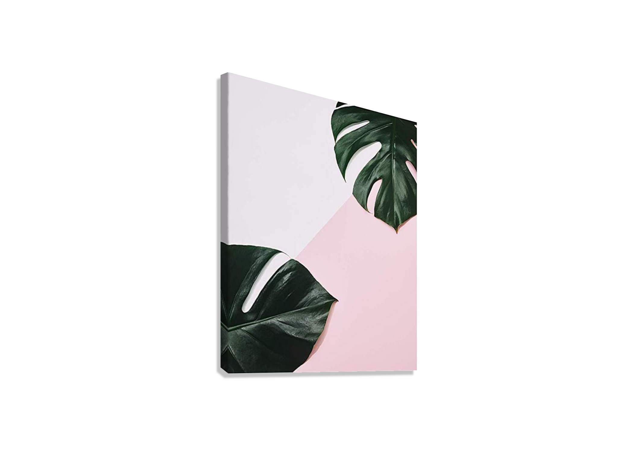 AESTHETIC PINK LEAF CANVAS POSTER