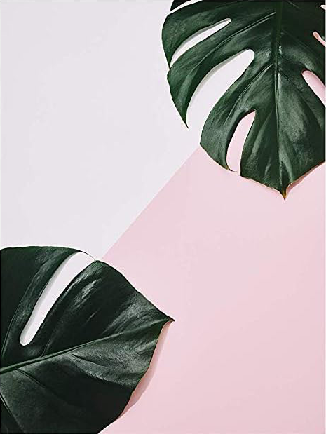 AESTHETIC PINK LEAF CANVAS POSTER