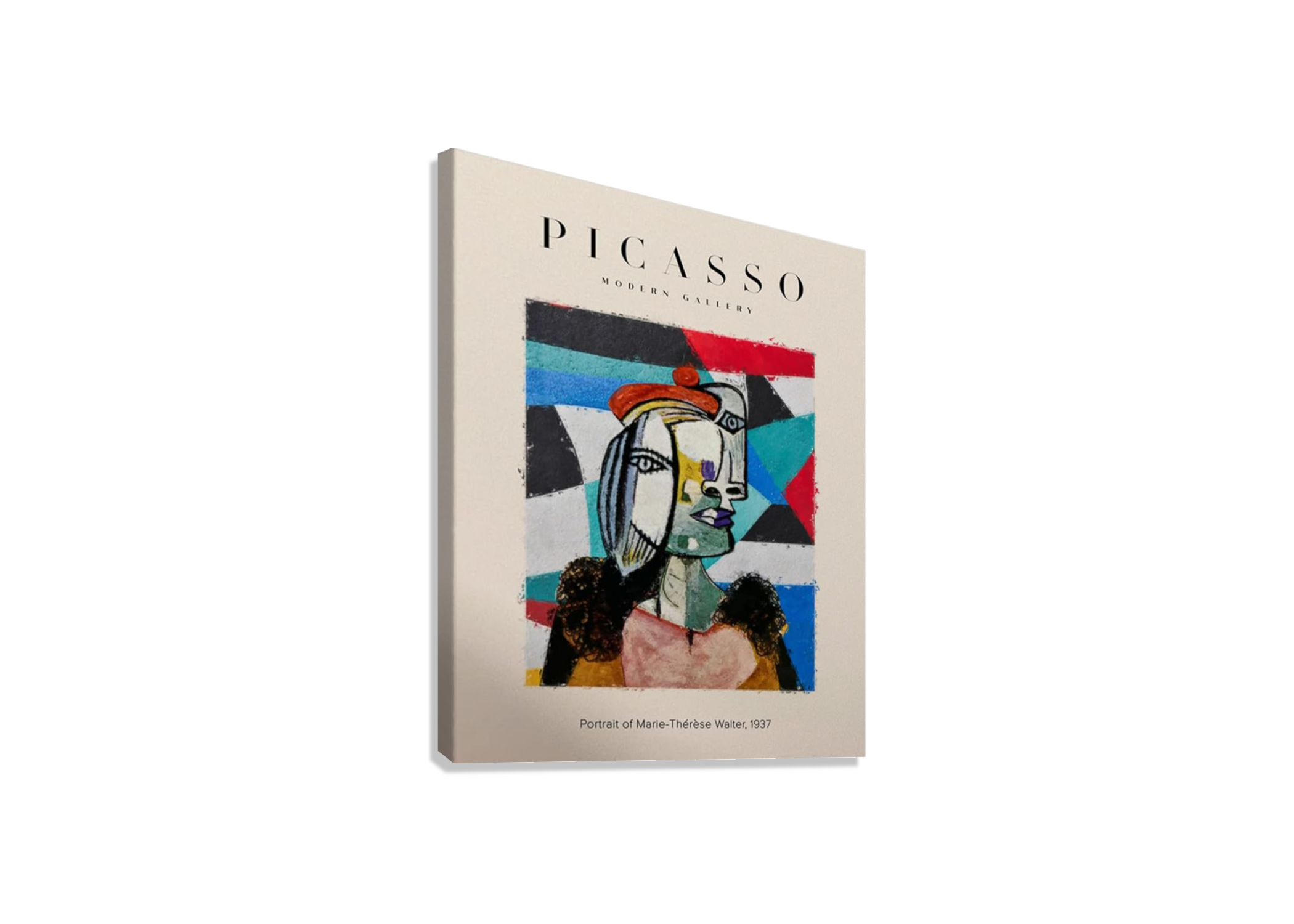 PICASSO ABSTRACT PAINTING CANVAS POSTER