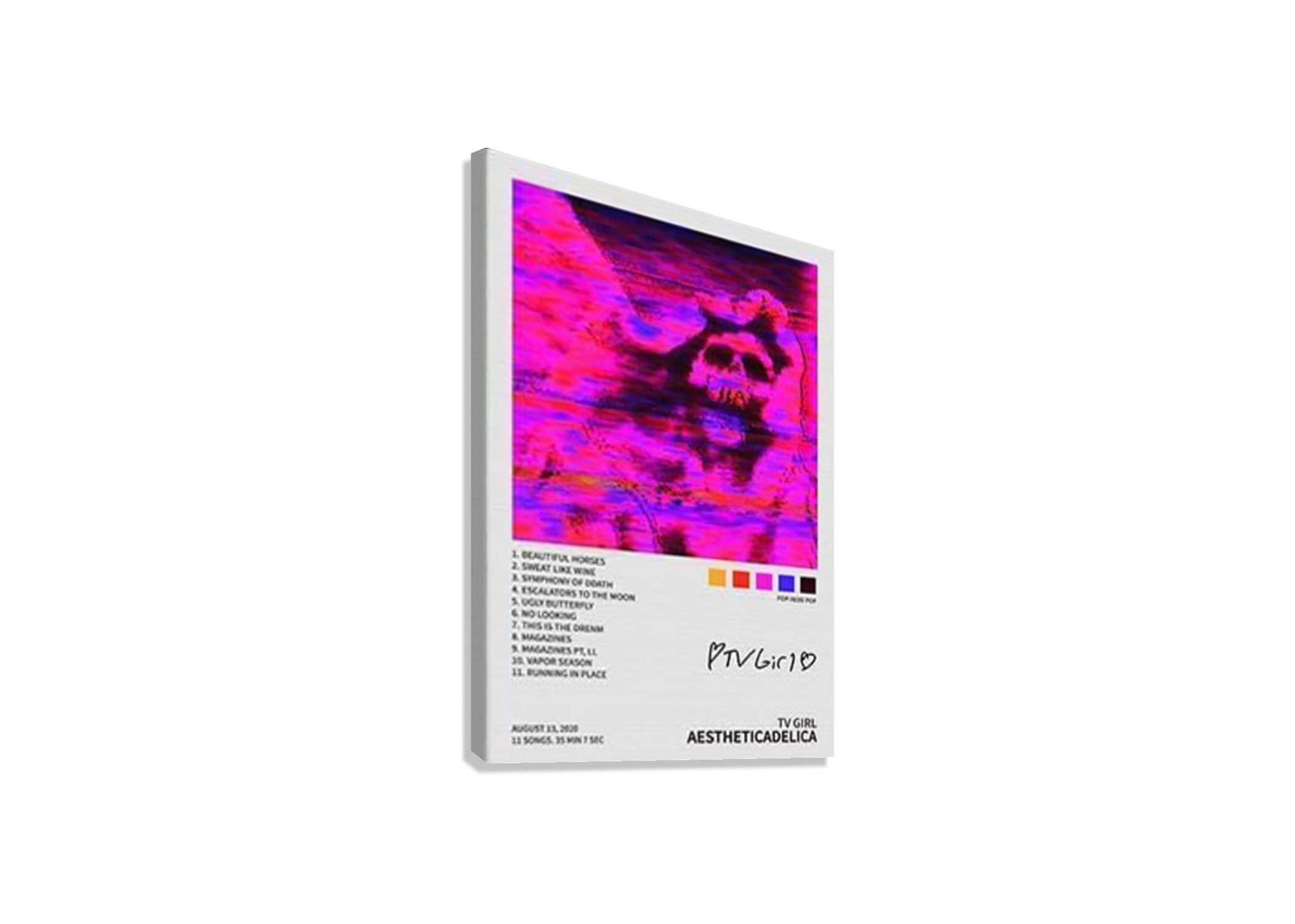 TV GIRL "AESTHICADELICA " CANVAS POSTER