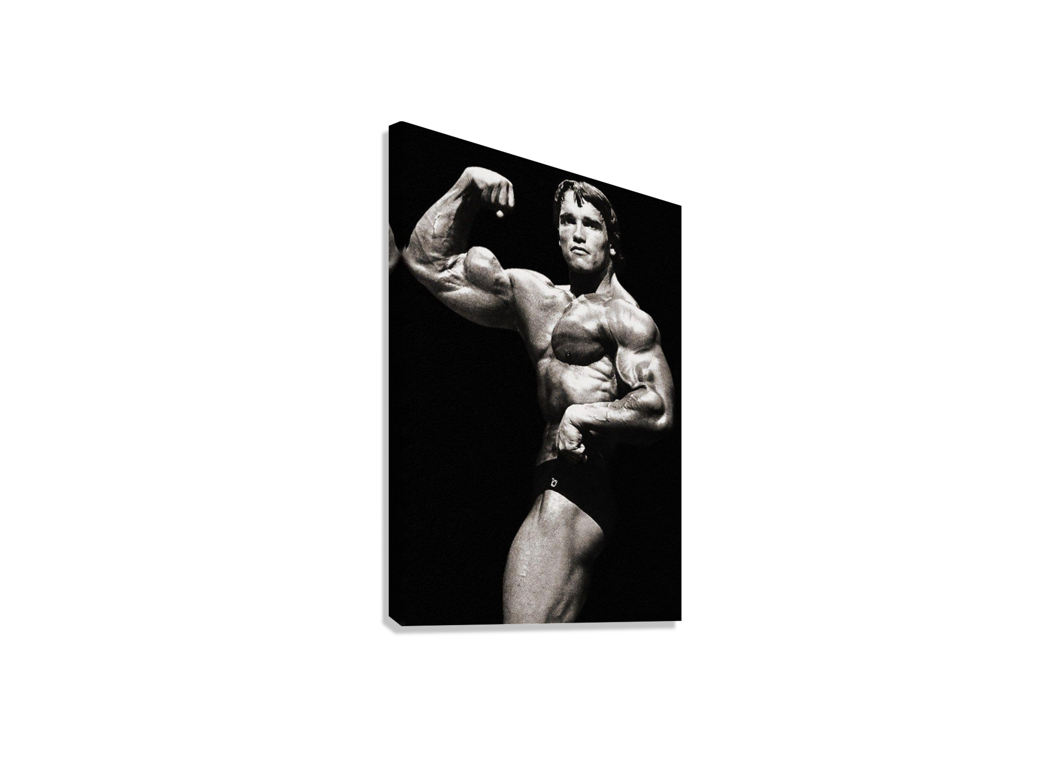 ARNOLD SCHWARZENEGGER CANVAS POSTERS