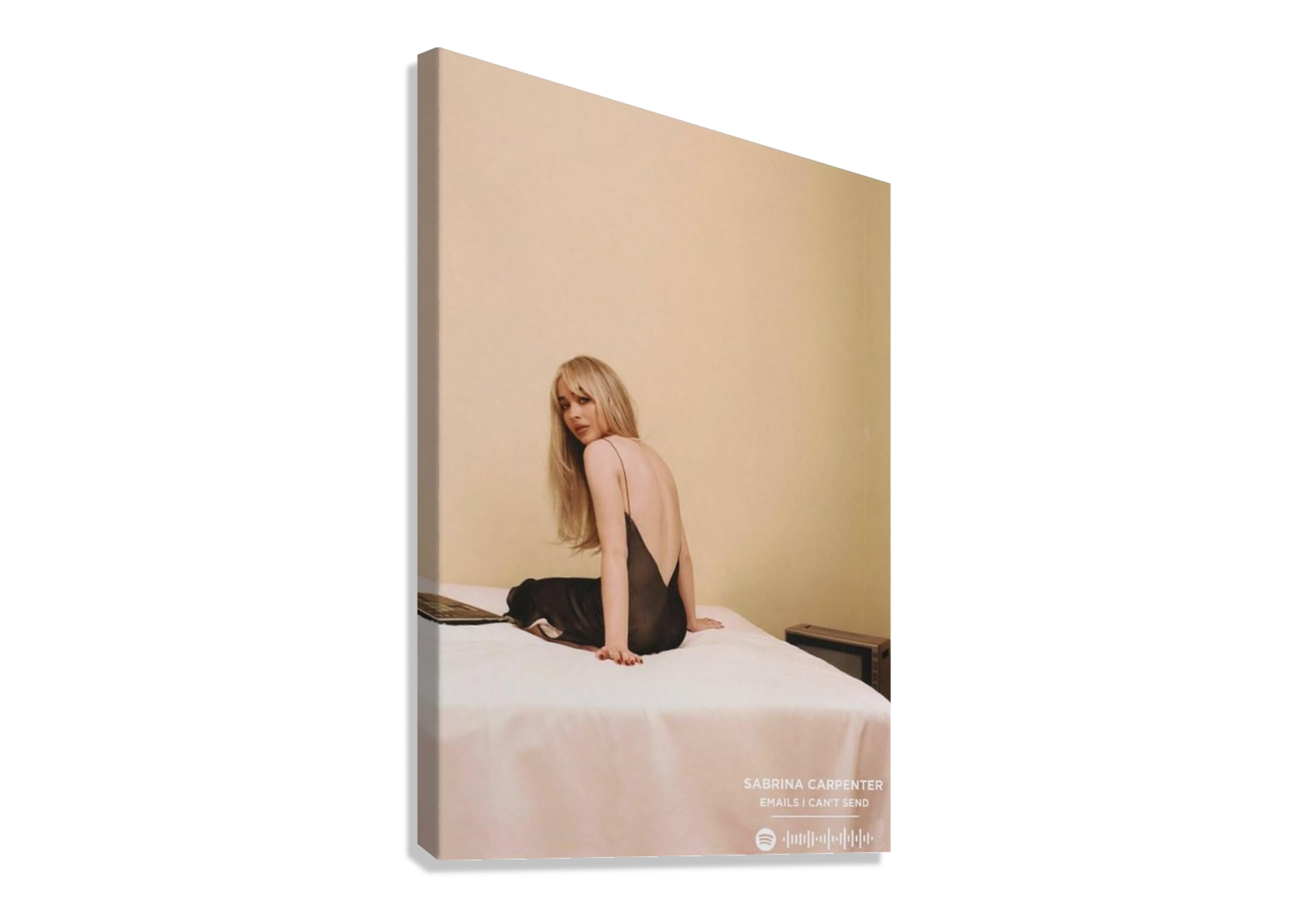 SABRINA CARPENTER ASTONISHING CANVAS POSTER