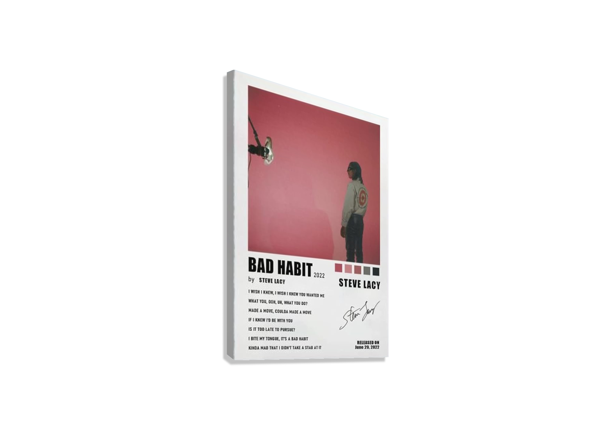 STEVE LACEY " BAD HABITS " CANVAS POSTER