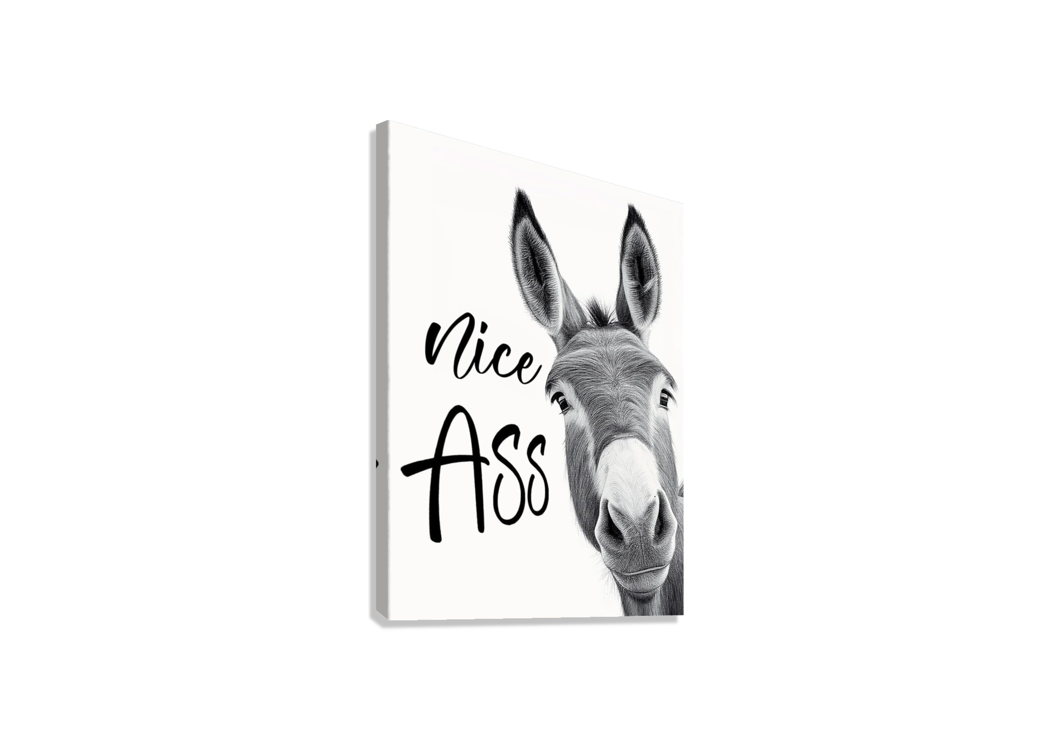 FUNNY DONKEY CANVAS POSTER