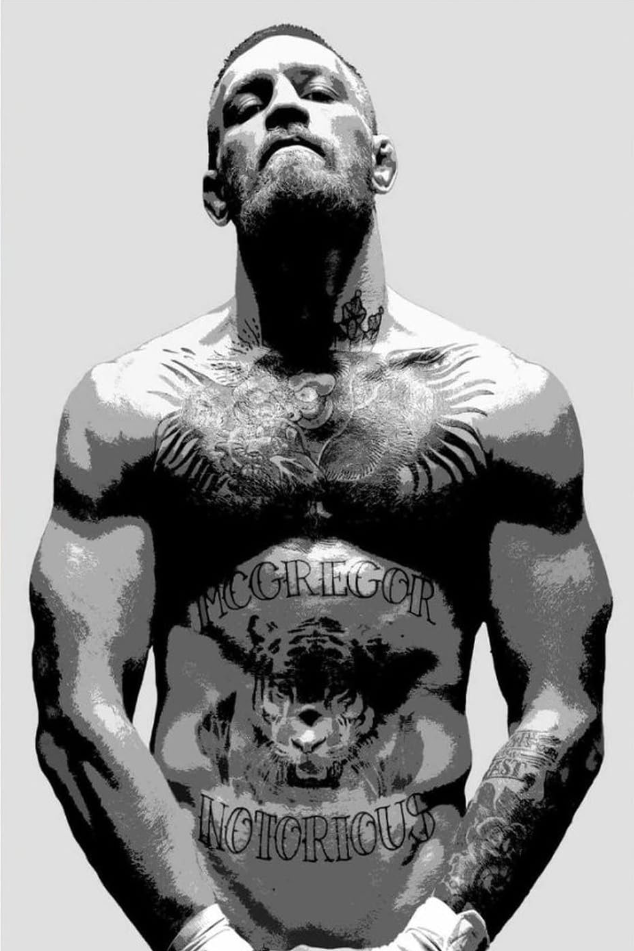 CONOR MCGREGOR CANVAS POSTER