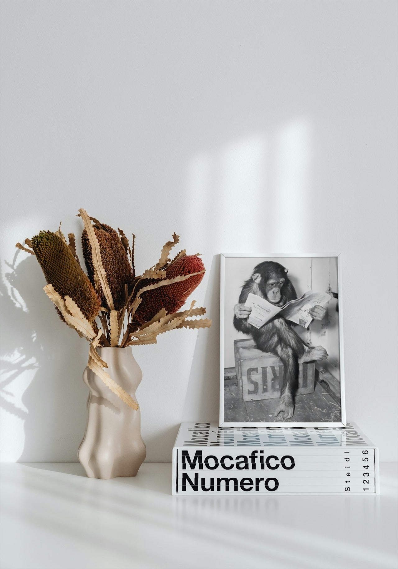 CUTE MONKEY SITTING AND READING NEWSPAPER CANVAS POSTER