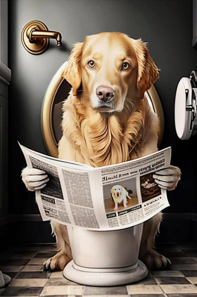 FUNNY AND CUTE DOG CANVAS POSTER