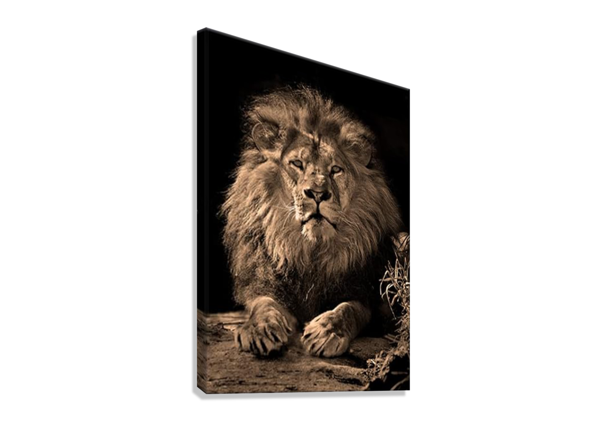 MAJESTIC LION CANVAS POSTER