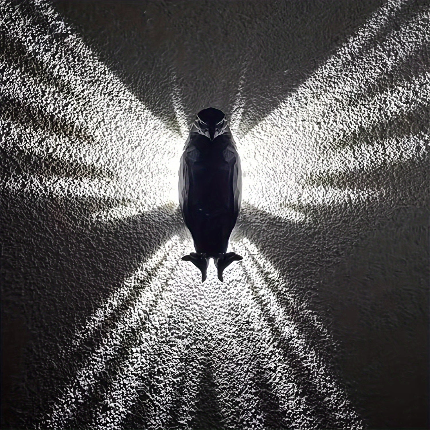 Tnessential Printed Eagle Wall Lamp 3D Decor