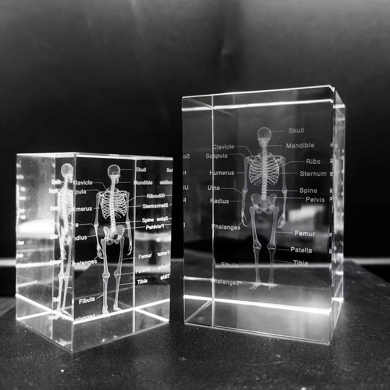 Tnessential Crystal Carved Human Skeleton Ornament 3D Decor