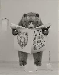 CUTE BEAR READING NEWS PAPER CANVAS POSTER