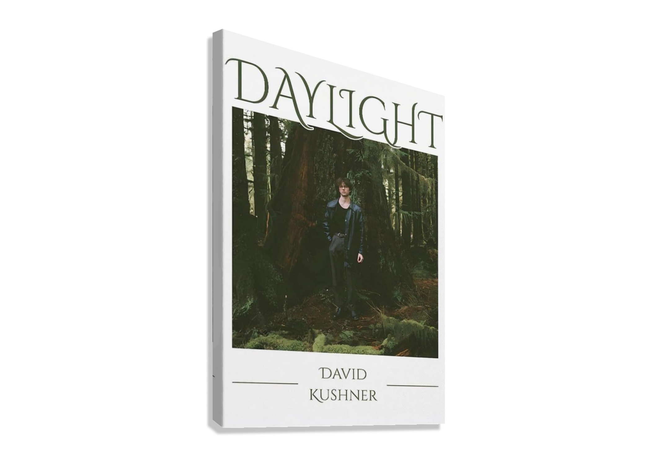 DAVID KUSHER "DAYLIGHT" CANVAS POSTER
