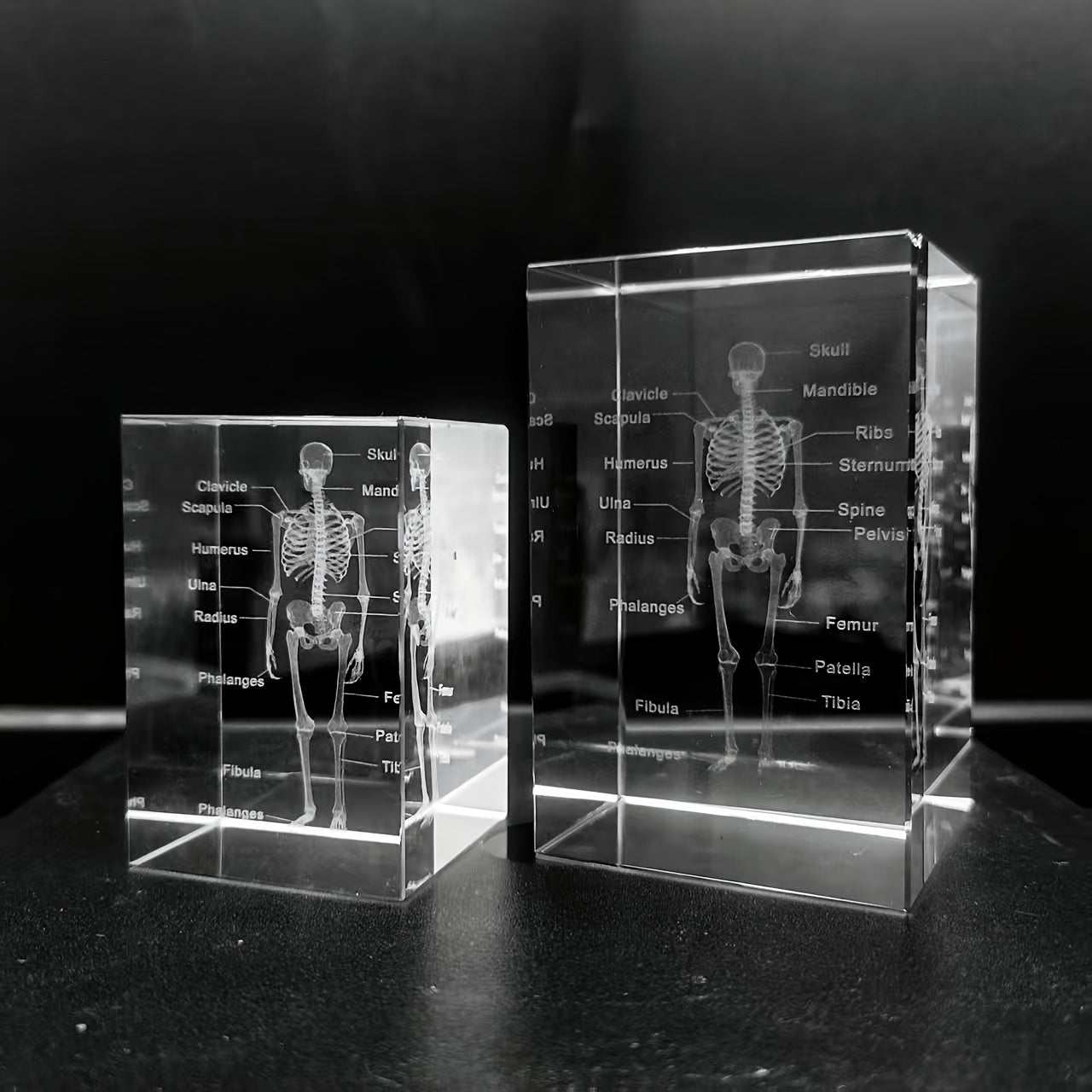 Tnessential Crystal Carved Human Skeleton Ornament 3D Decor