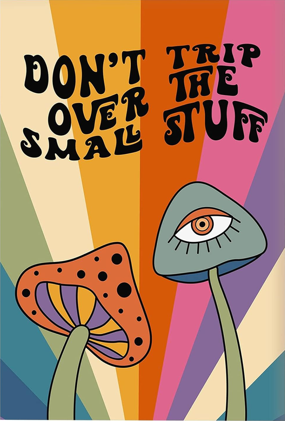 DON'T TRIP OVER SMALL STUFF FUNNY POSTER