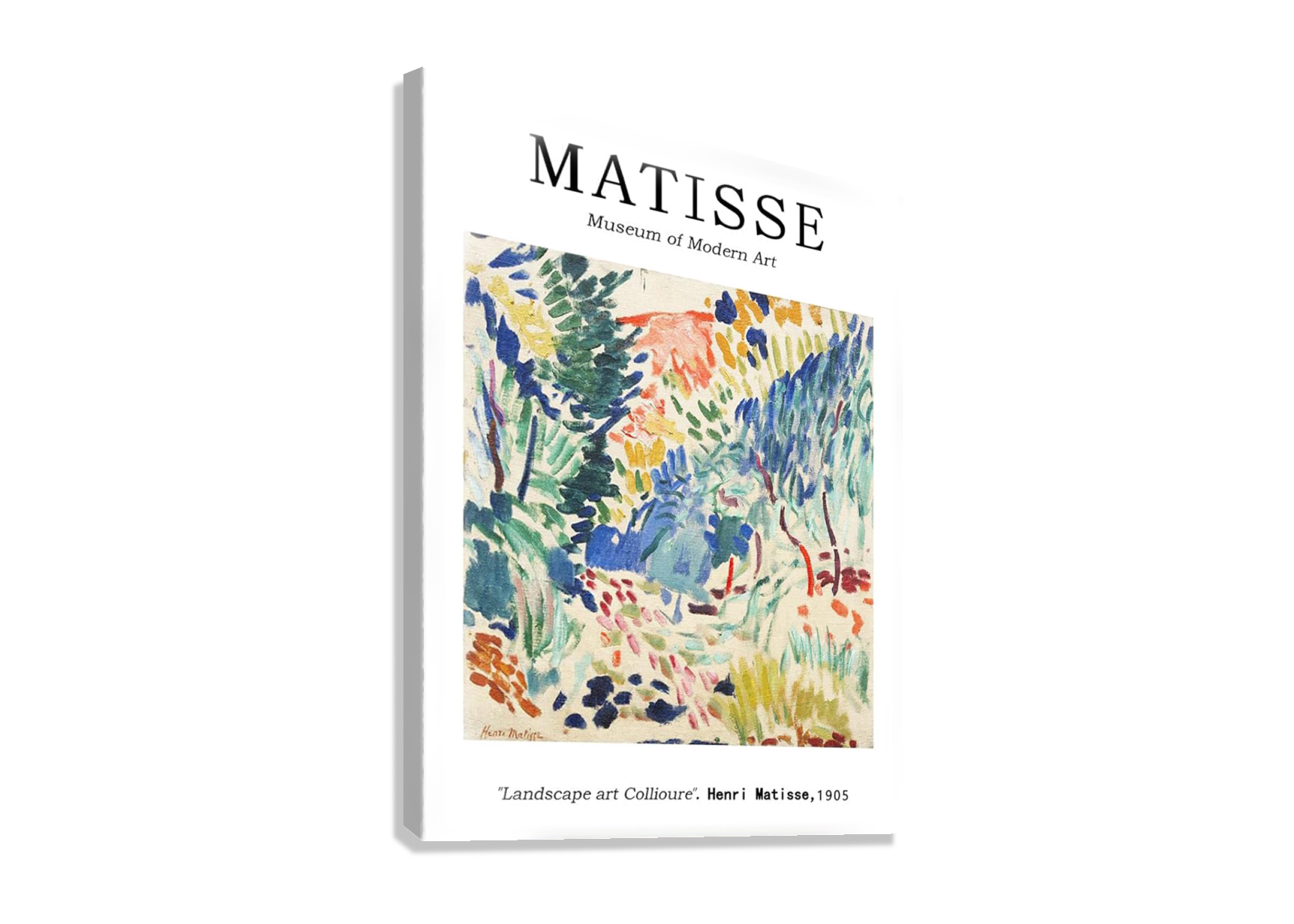 HENRI MATISSE ART CANVAS POSTER