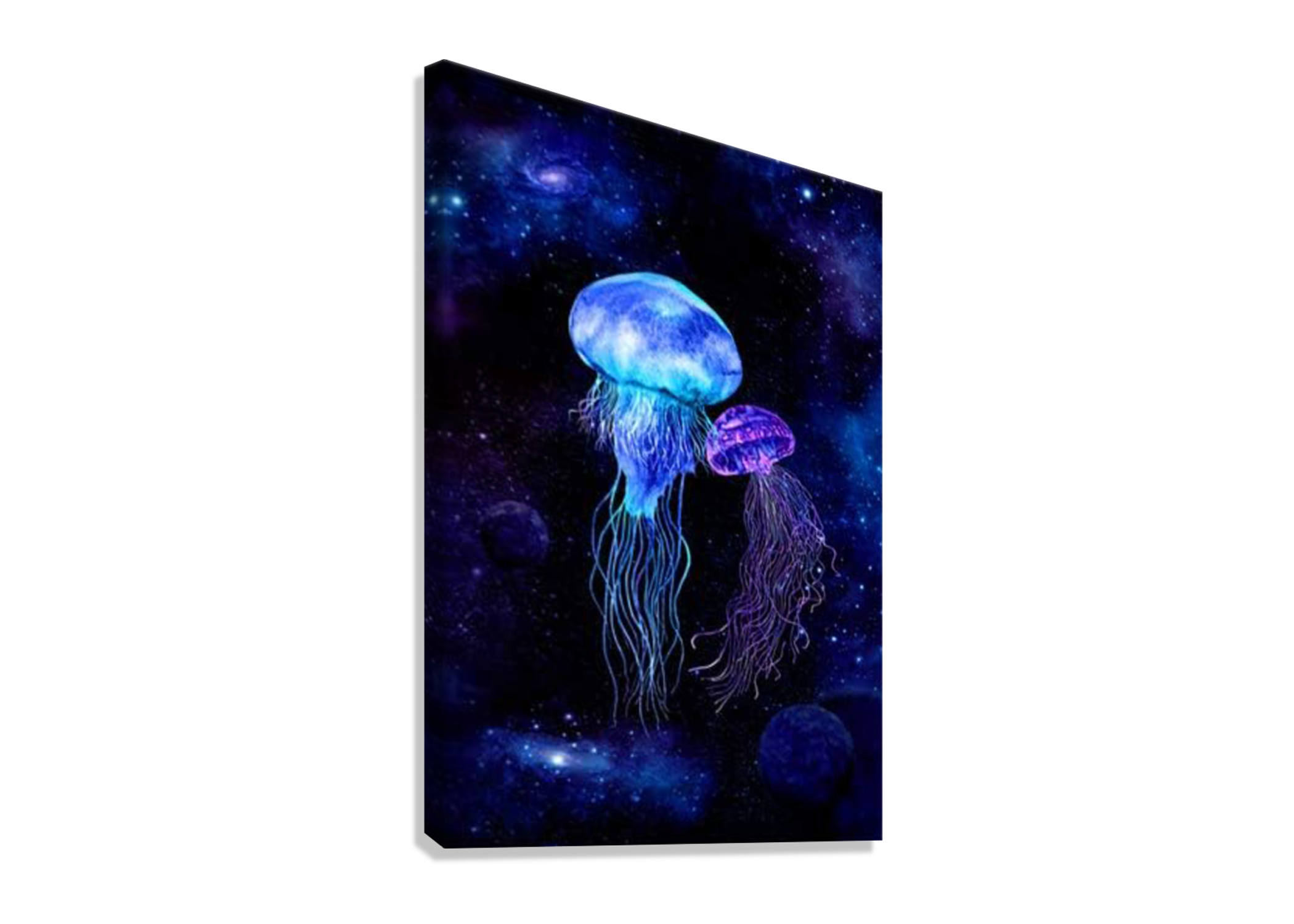 JELLY FISH CANVAS POSTER