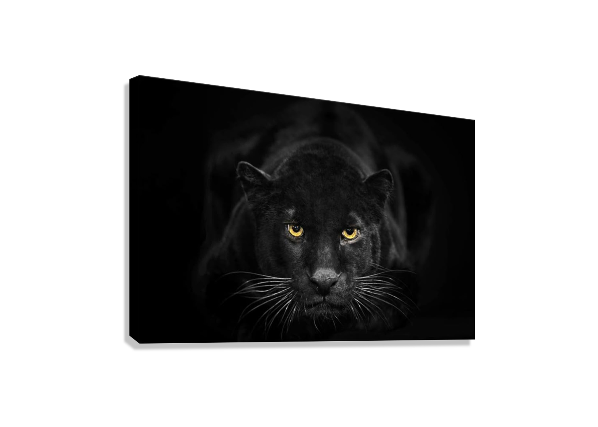 BLACK PANTHER CANVAS POSTER
